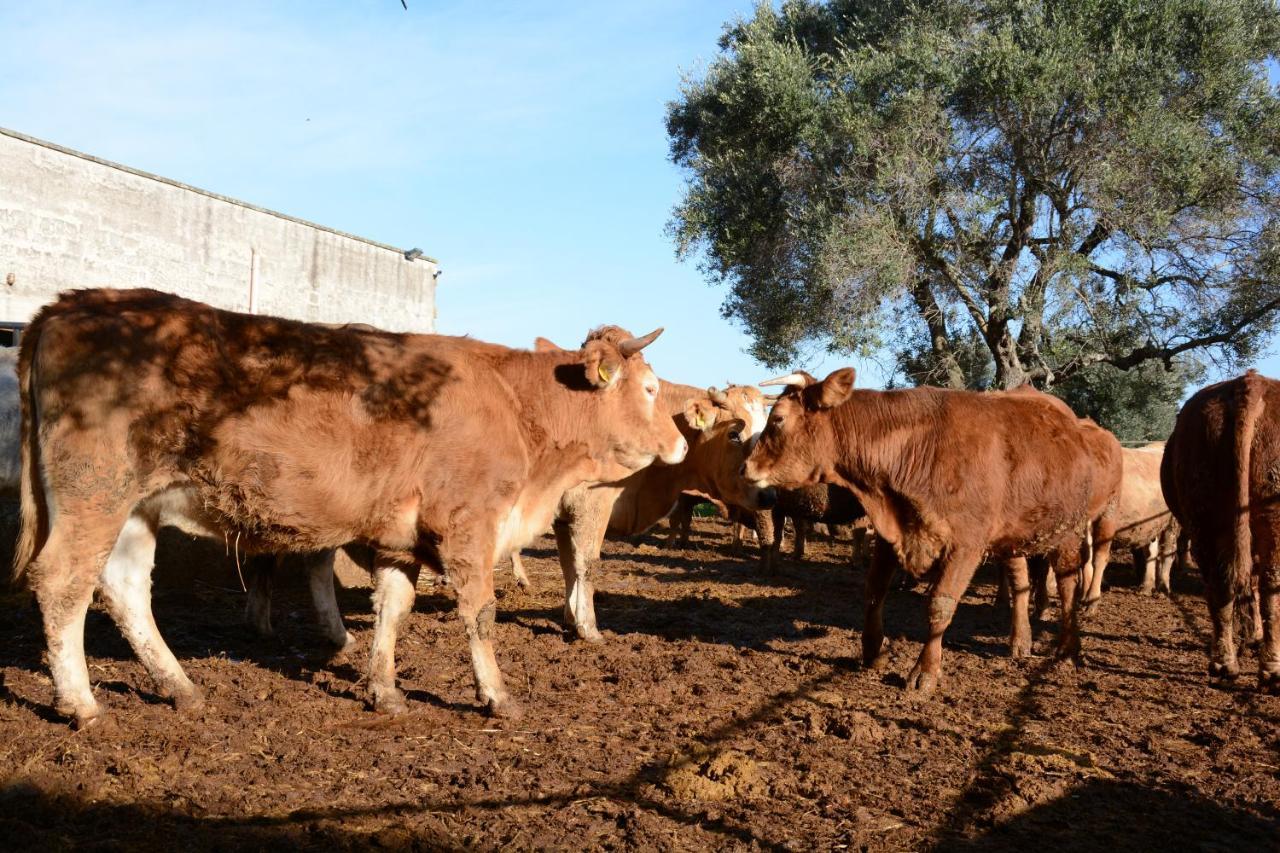 Masseria Rifisa Agriresort Caprarica di Lecce Exteriér fotografie